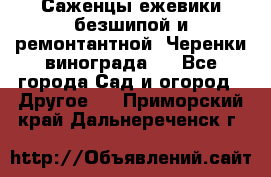 Саженцы ежевики безшипой и ремонтантной. Черенки винограда . - Все города Сад и огород » Другое   . Приморский край,Дальнереченск г.